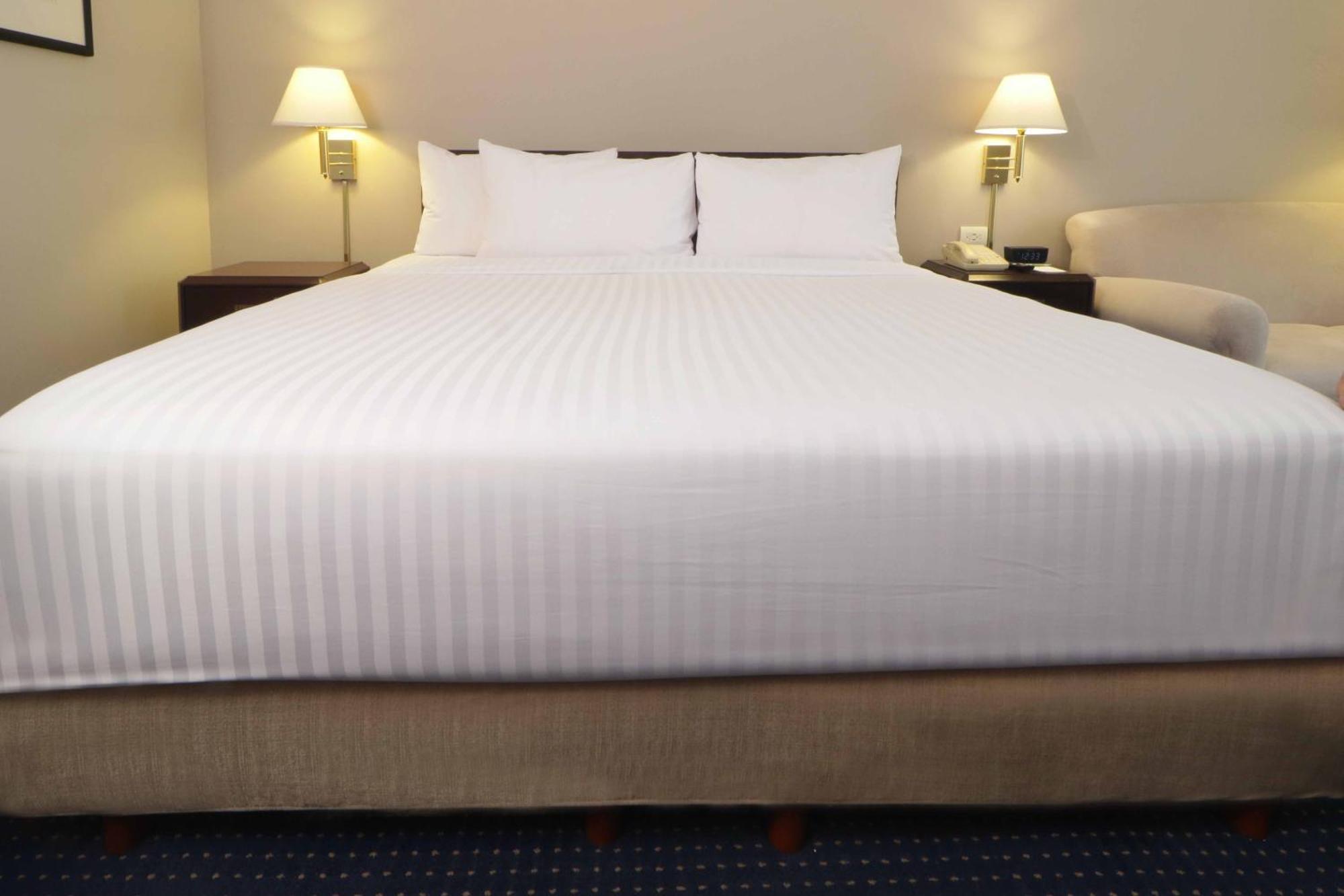 San Nicolás de los Garzas Wyndham Garden Monterrey Norte מראה חיצוני תמונה